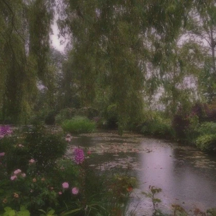 swamp trees forest river flowers aesthetic