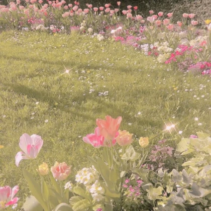 soft field pretty flowers garden aesthetic