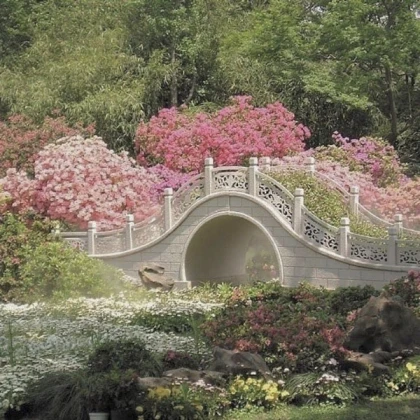 river water trees petals sweet bridge aesthetic
