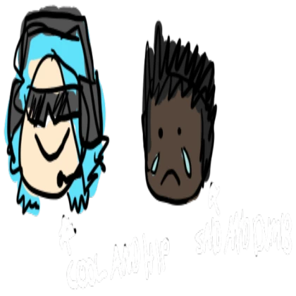 Sparrow is better then falcon [entry point]