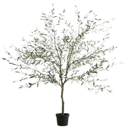 skinny tree floor plant