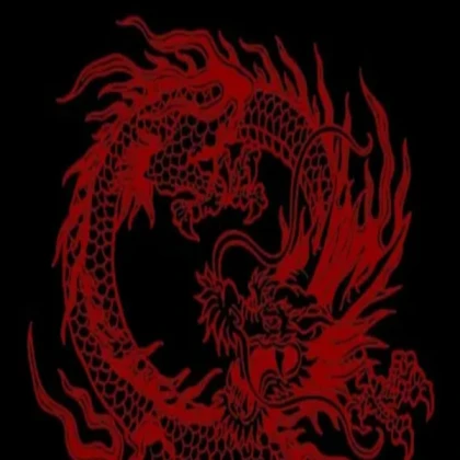 japanese-aesthetic-red-dragon-5luxevoopynzv33v (2)
