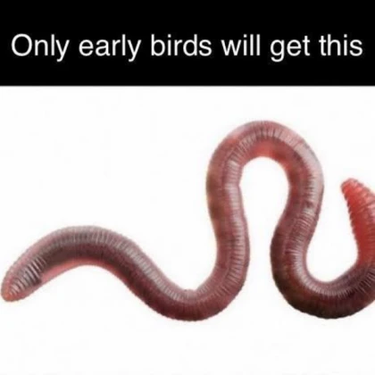 worm furry based sigma ohio sus skibidi toilet