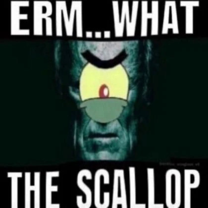 what the scallop spongebob sigma based reaction