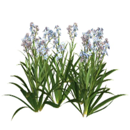 BLOXBURG TRANSPARENT - three blue flowers