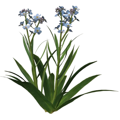 BLOXBURG TRANSPARENT - one blue flower