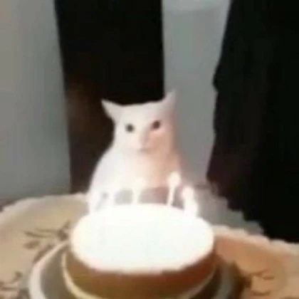 Silly Cat - Birthday Cake (Profile Picture)