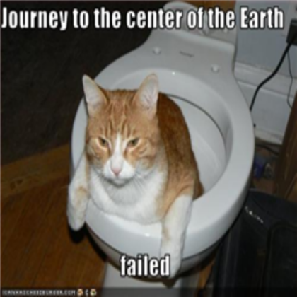 Funny cat pic 9