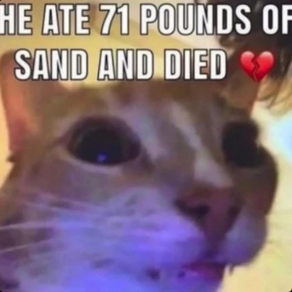 he ate 71 pounds of sand and died 💔
