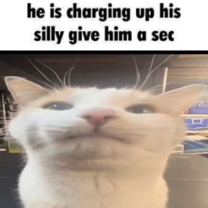 charging up the silly