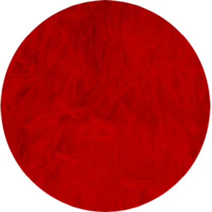 red circle fluffy rug
