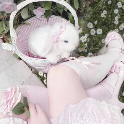 Kawaii | Pink Soft girl Bunny Picnic