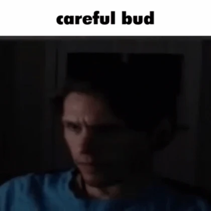 jerma-careful-bud