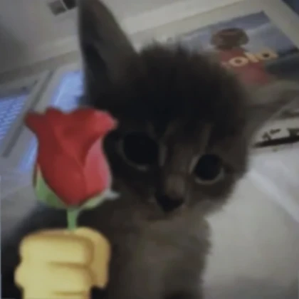 Cat image for strongest battle grounds cape