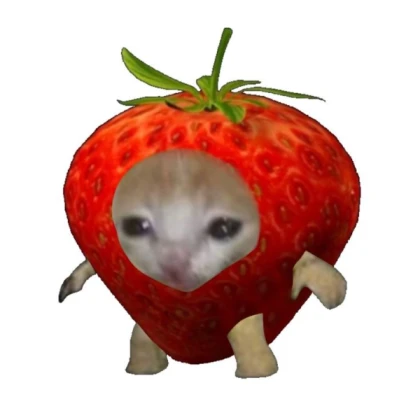strawberry cat