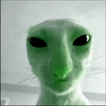 alien cat