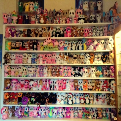 My beanie boo collection