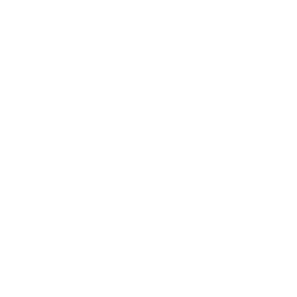 Transparent custom Vinyl record shine