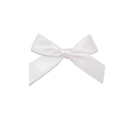 BLOXBURG TRANSPARENT - White Coquett dainty bow