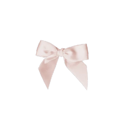 BLOXBURG TRANSPARENT - pink coquett cute bow
