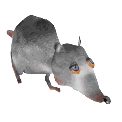 Jerma Rat