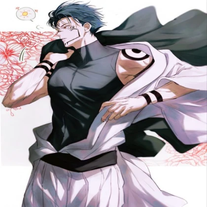 Sukuna in megumi's body