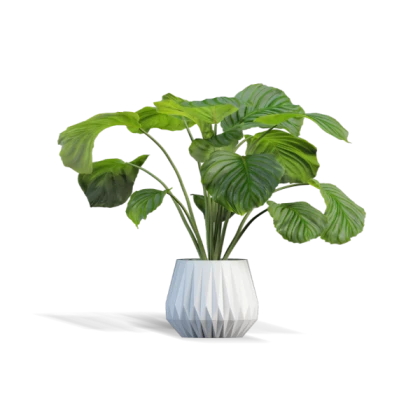 modern gwb decal 24 plant