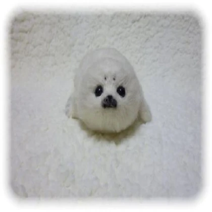 Seal