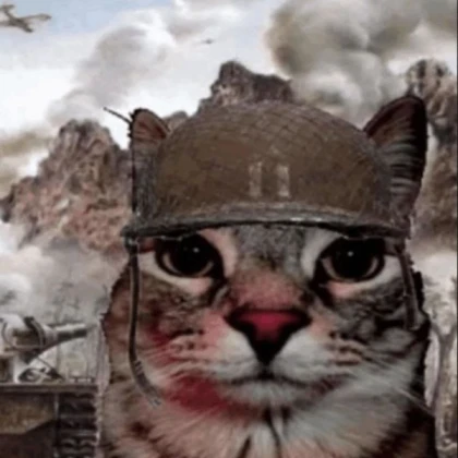 Thousand-yard stare cat