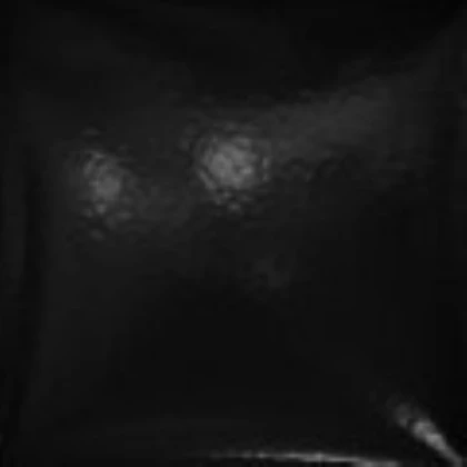 Royale High - Gothic Vampire Black Shiny Fabric