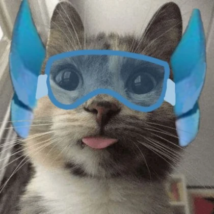 Rocket Phighting cat!