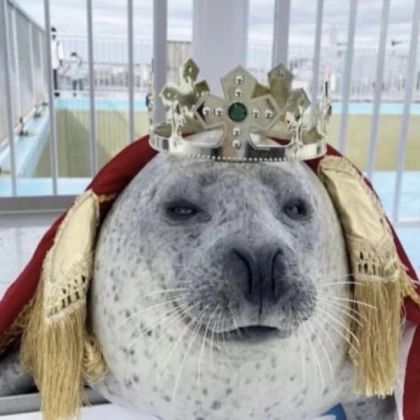 king seal