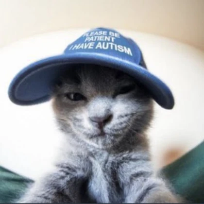 blue cap cat
