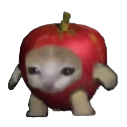 apple cat