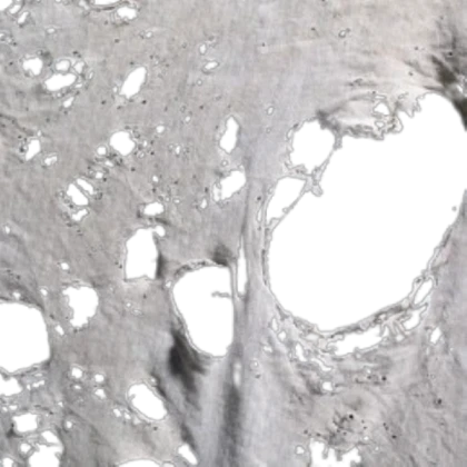 Ripped fabric pattern transparent