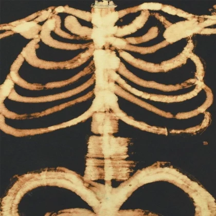 Bleached shirt design