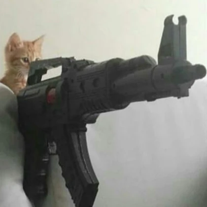 Cat with a gun