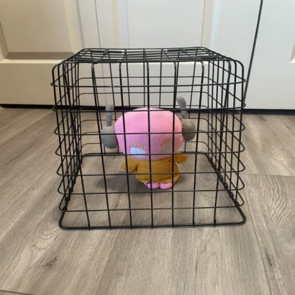 five pebbles plushie in a cage rain world

