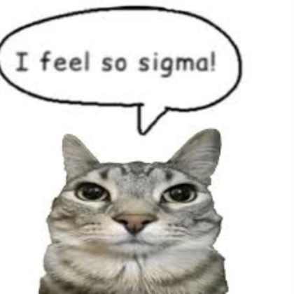 i feel so sigma!