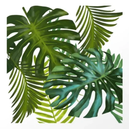 palm and monastera leaves