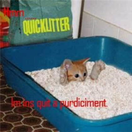 quick cat litter