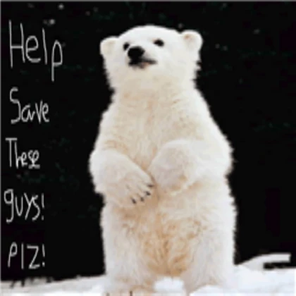 help save polar bears