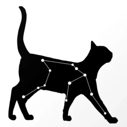 [TRENDY] aquarius cat
