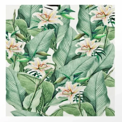 [SUMMER] tropical state