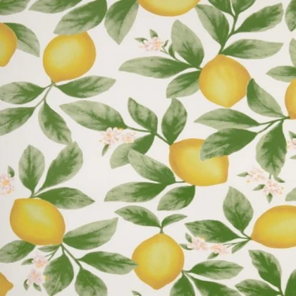 [SUMMER] lemon tree