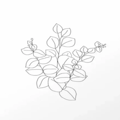 [SUMMER] minimal eucalyptus