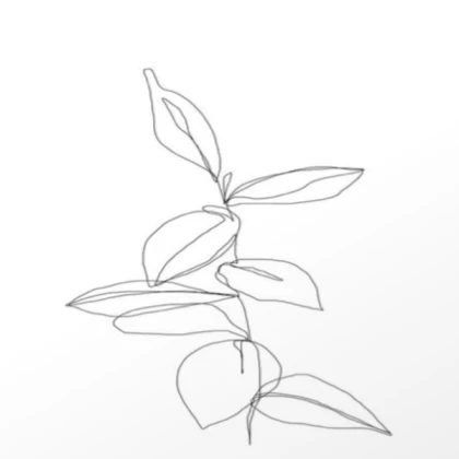 A Line Minimal Plant Leaves Drawing