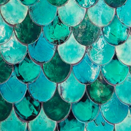 teal scales