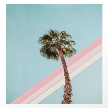 [ART PRINT] Palm Tree Aesthetic