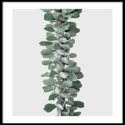 [MINIMALIST] plant branch